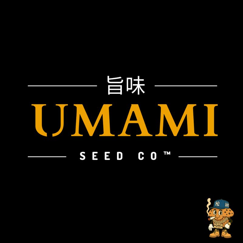 Umami Seed Co 3-Pack Seeds