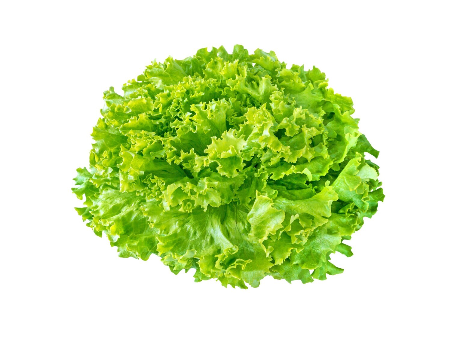 Salade
