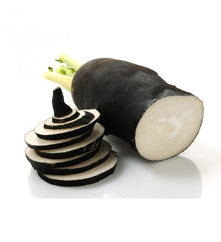 Radis noir