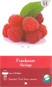 FRAMBOISIER Héritage Rubus rouge remontant R.P. FRAMBOISIER Héritage Rubus rouge remontant R.P.