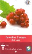 GROSEILLER A GRAPPES Red Lake rouge