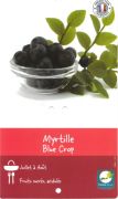 MYRTILLE Bluecrop R.P.