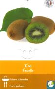 KIWI femelle Actinidia &quot;Hayward