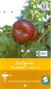 BRUGNON Prunus Persica Donutrice