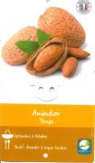 AMANDIER Amygdalus Amandine Texas