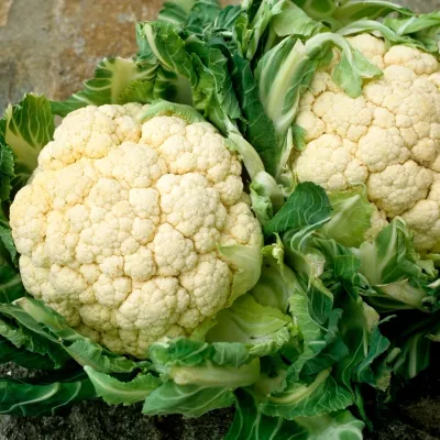 Chou fleur Chou fleur