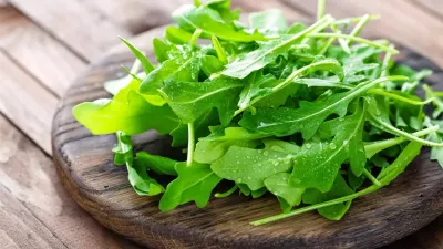 Salade Roquette Salade Roquette