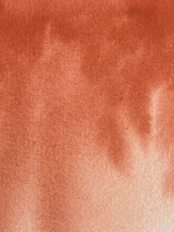 Sanguine