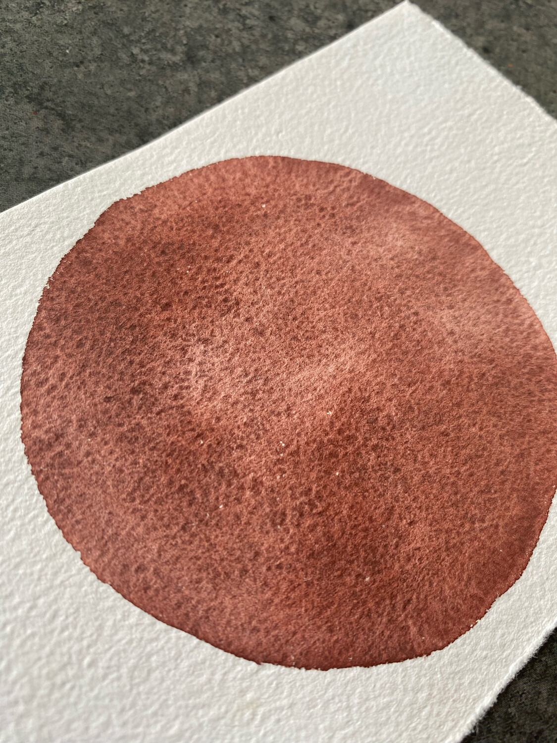 Terracotta Warm
