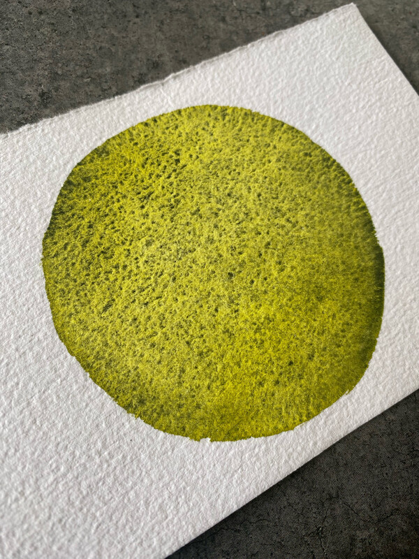 Moss