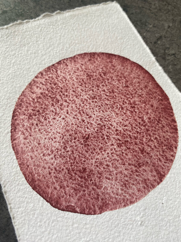 Potter’s Pink Dark