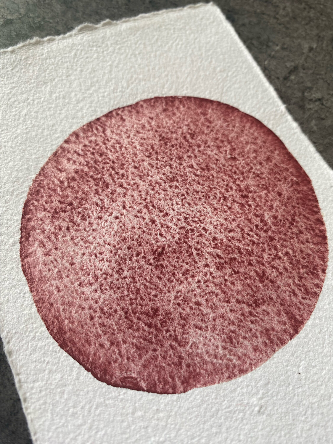 Potter’s Pink Dark