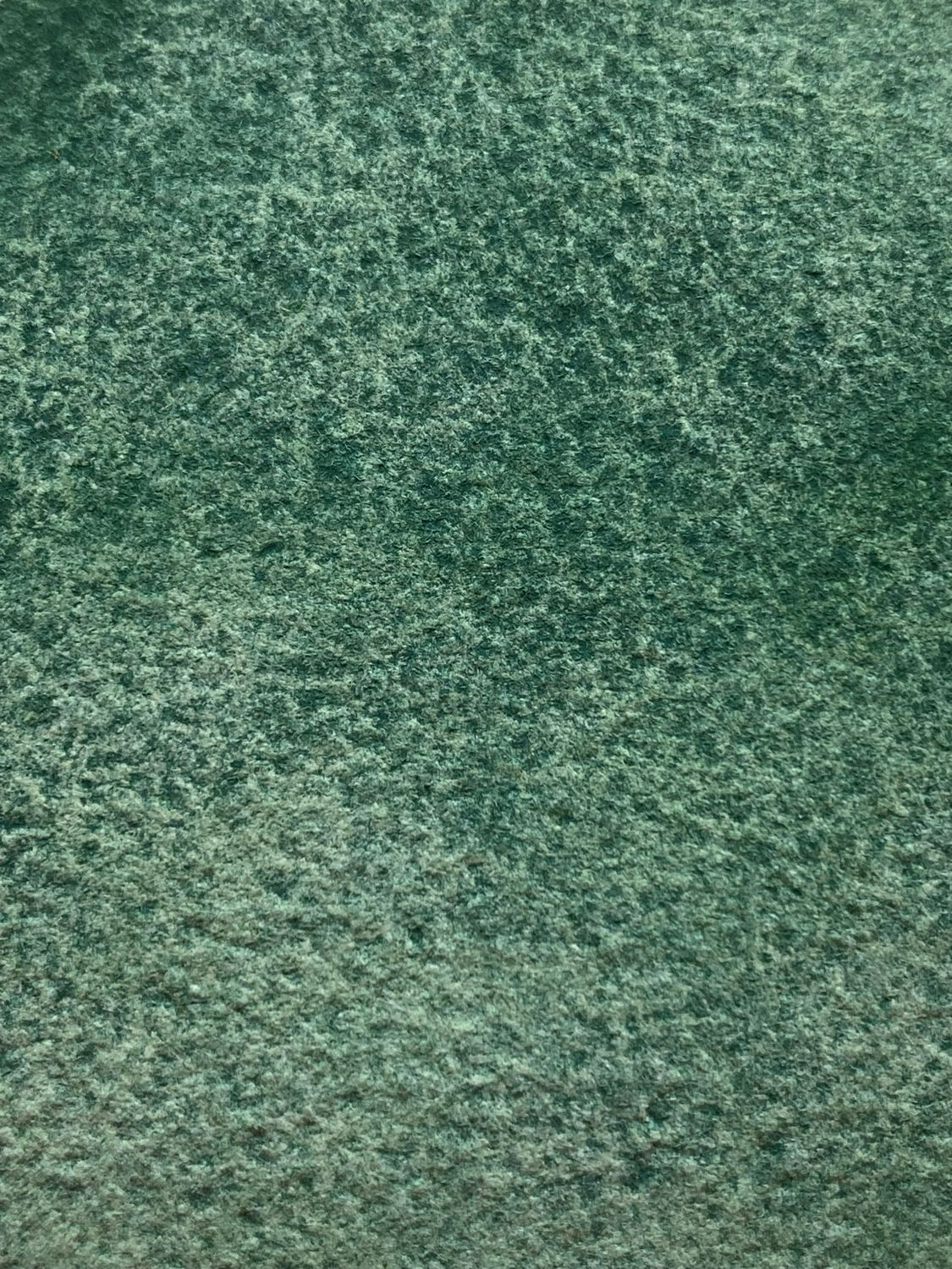 Kelp Forest