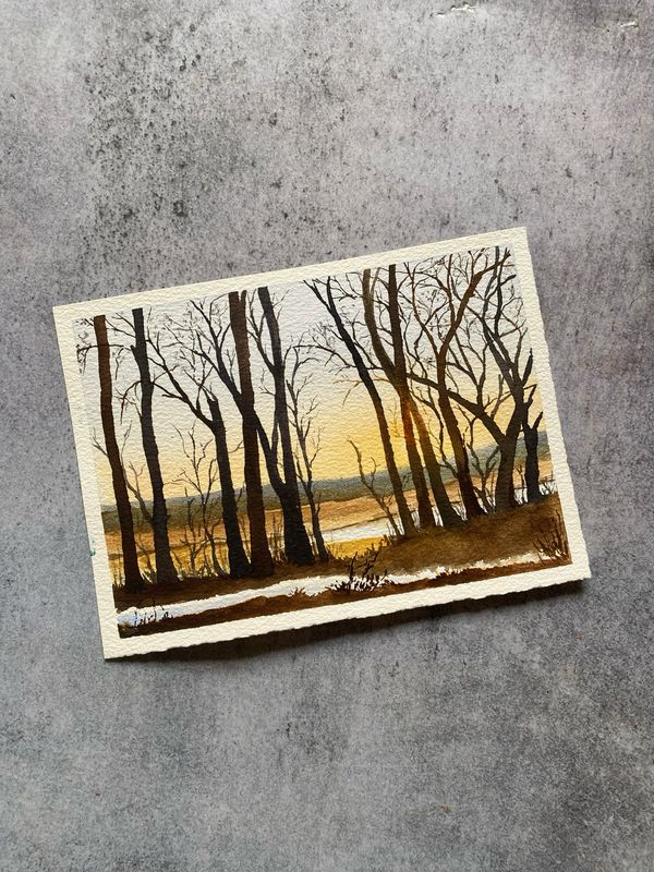 Winter sunset