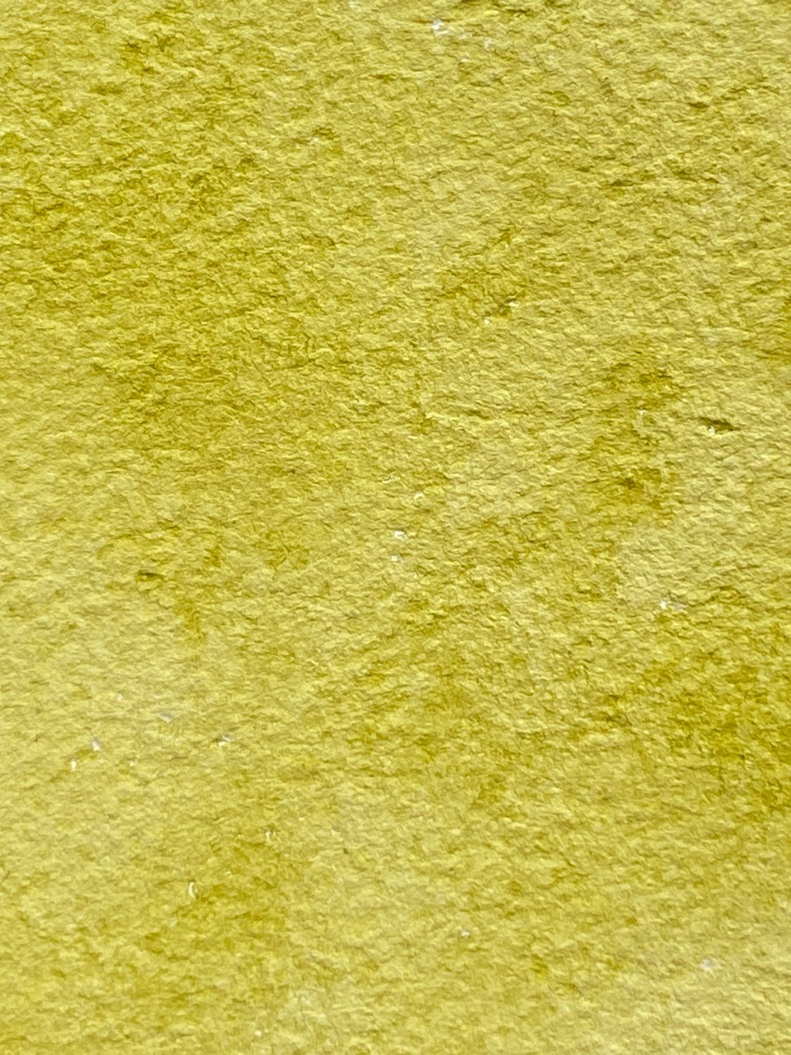 Pear Handmade Watercolor