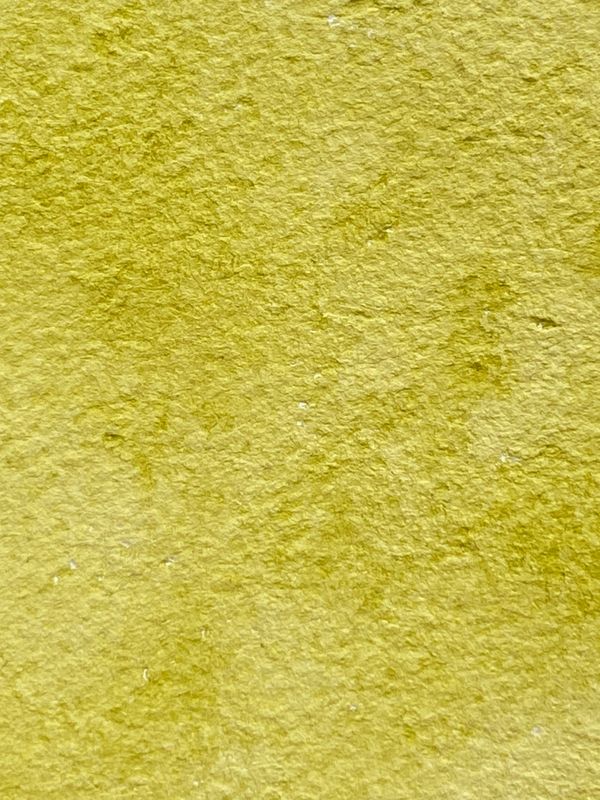 Pear Handmade Watercolor
