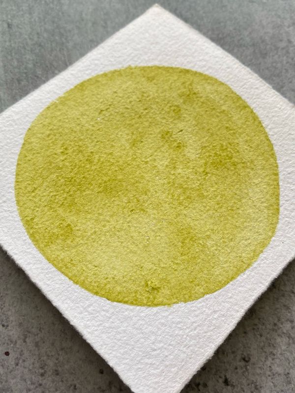 Pear Handmade Watercolor
