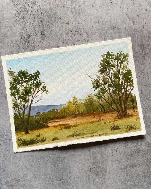 Eucalyptus Field