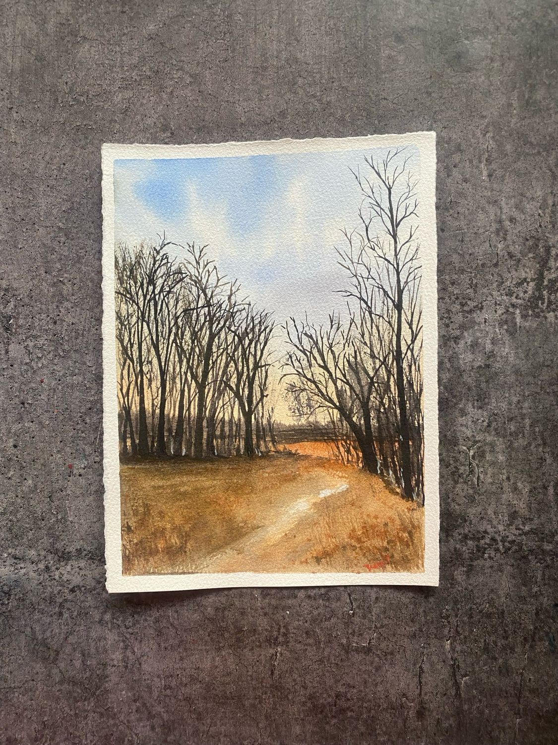 Leafless Trees