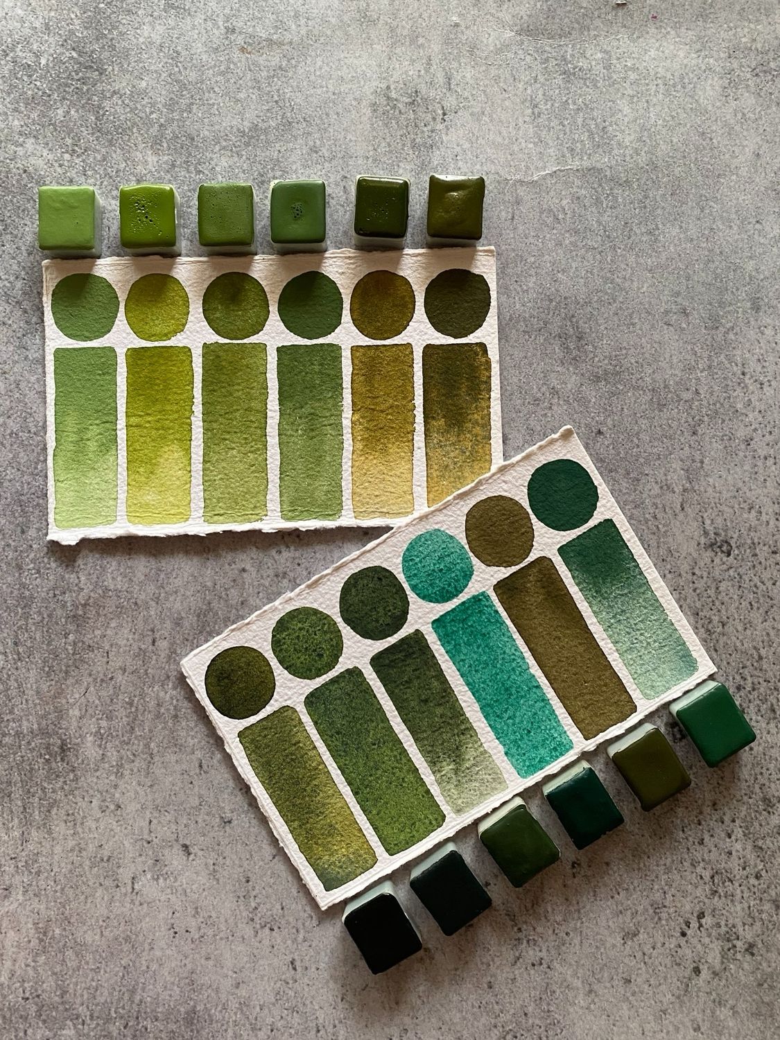 The Green Palette