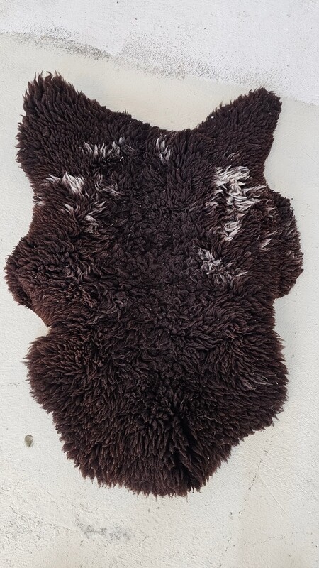 Schaap bruin
