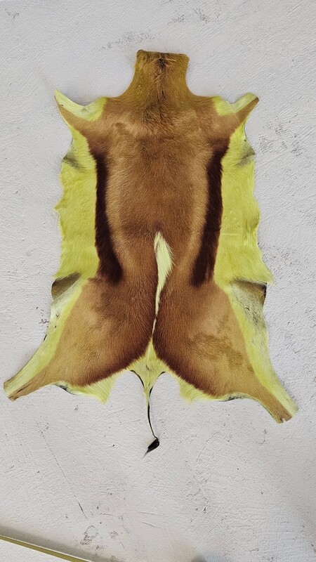 Geitenkleed geel