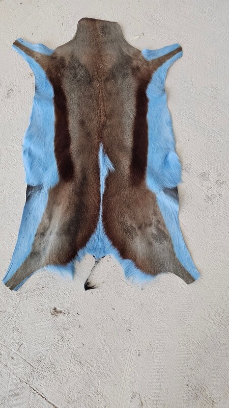 Geitenkleed blauw