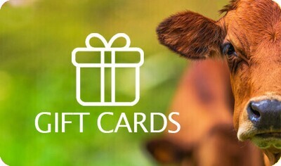 Gift Card Gift Card