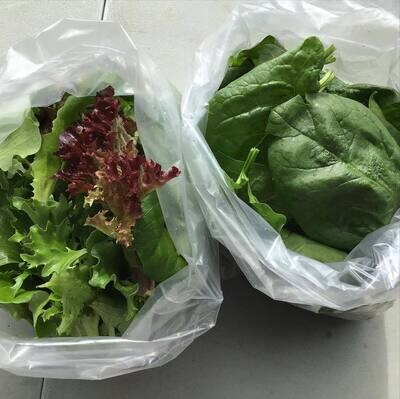 Spinach