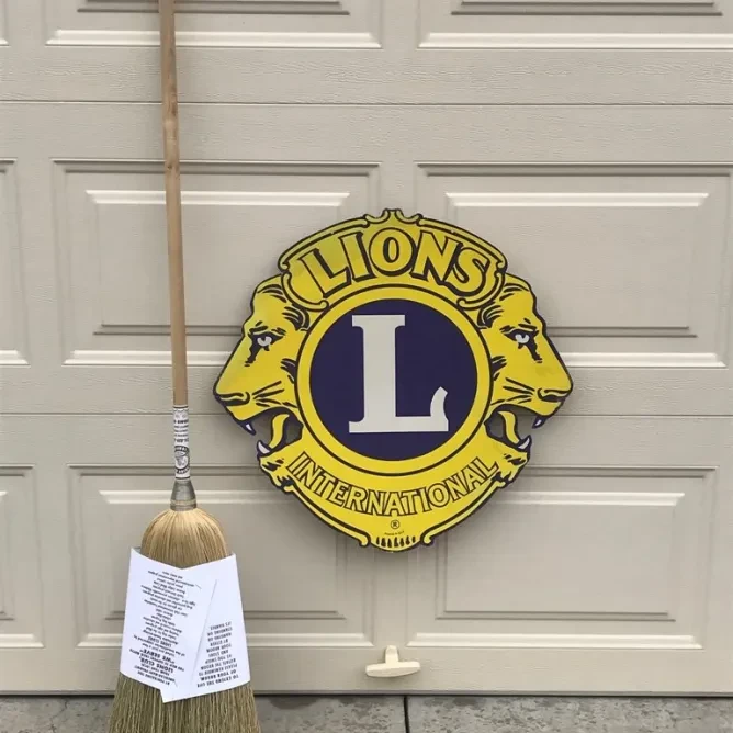 Lioness House Broom