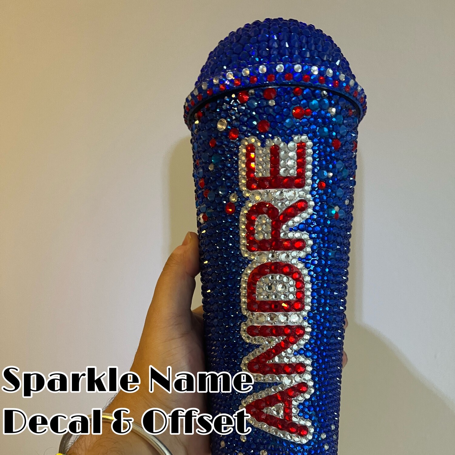 Sparkle Dome Lid Stainless Steel 30oz Tumblerz (Limited Edition)