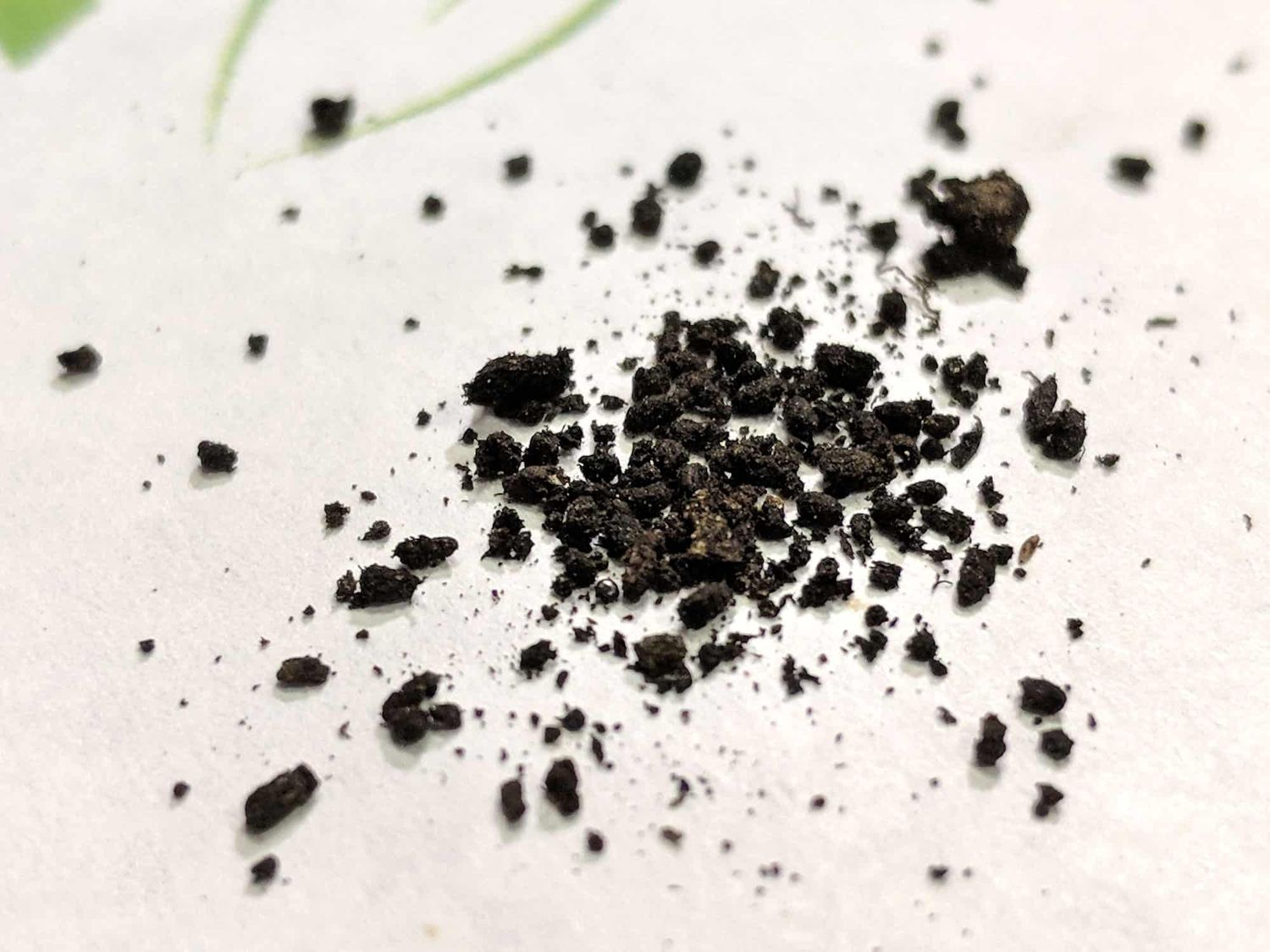 ORGANIC WORM CASTINGS  (4, 10, 25 OR 50 LBS)  {YOUR CHOICE OF SIZE}