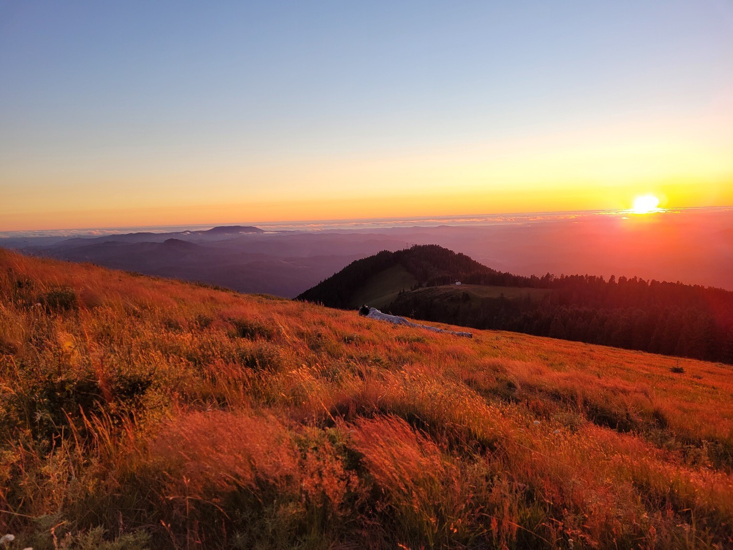 Marys Peak Colorways at Sunset 2022