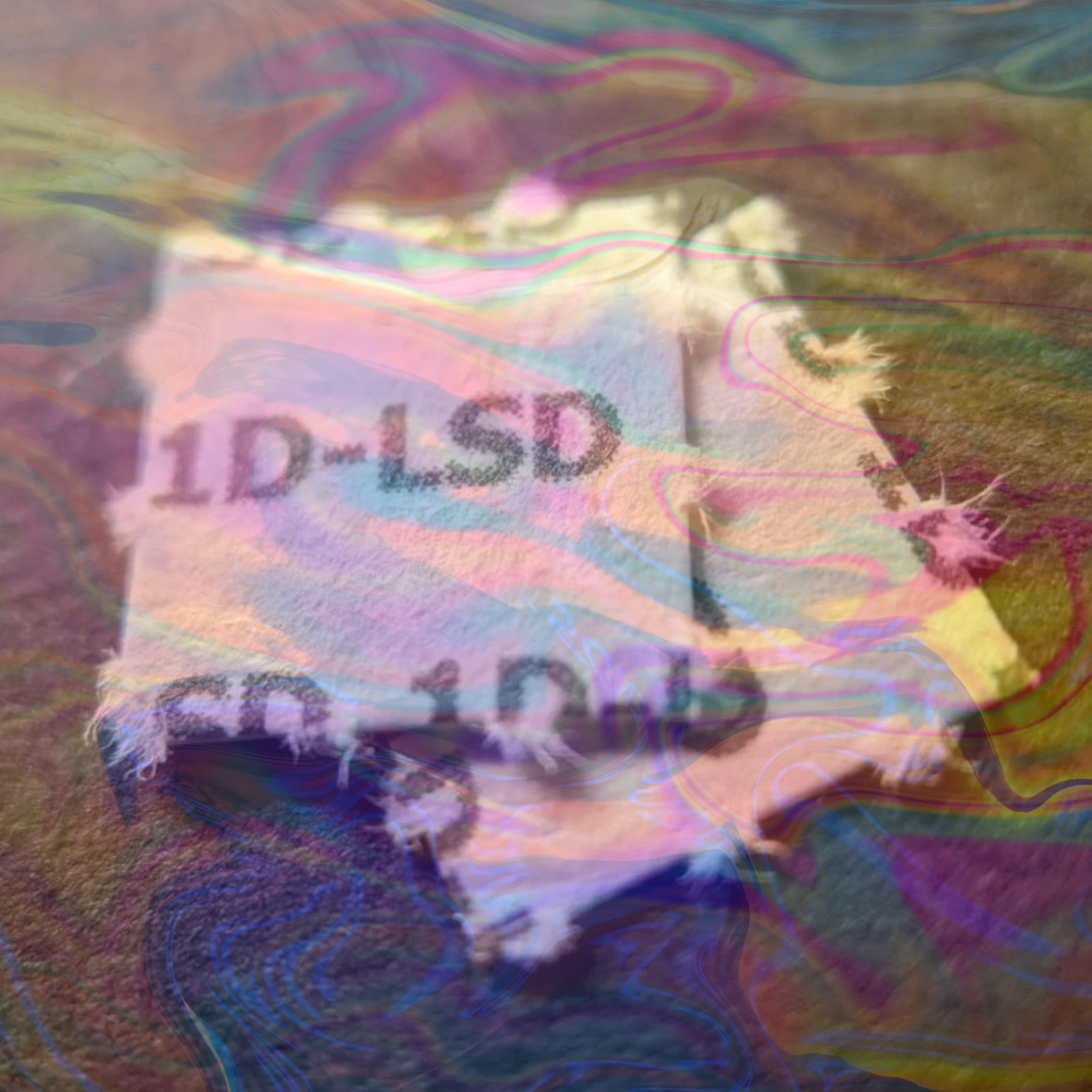 1D-LSD
