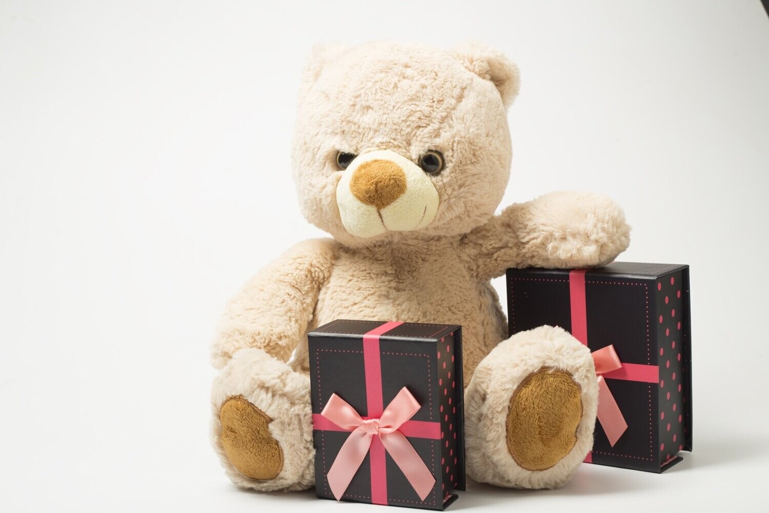 Teddy Bear