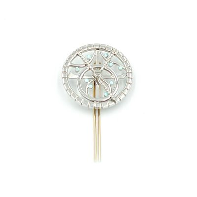 ASTRO Pin