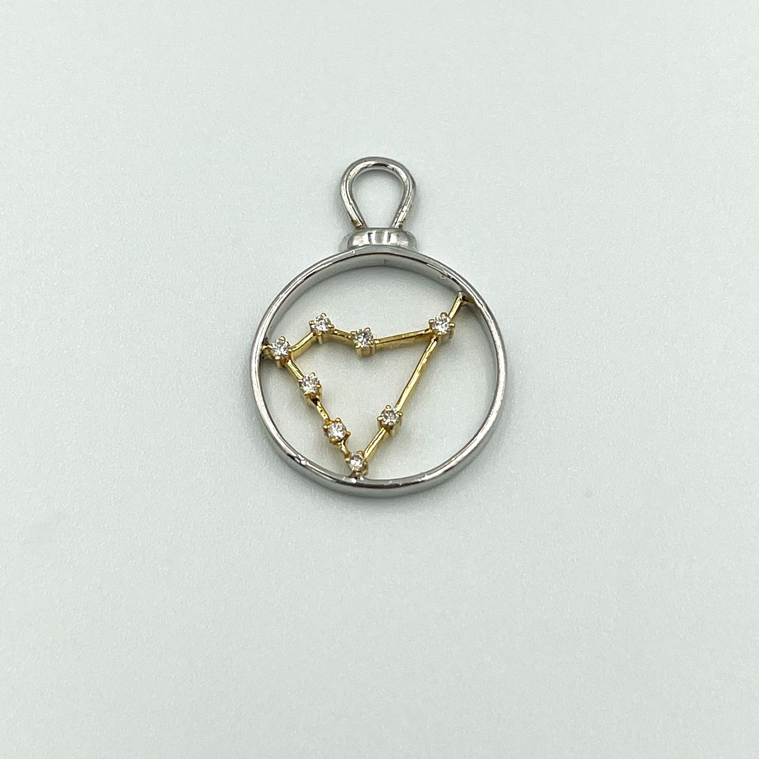 Capricorn Charm