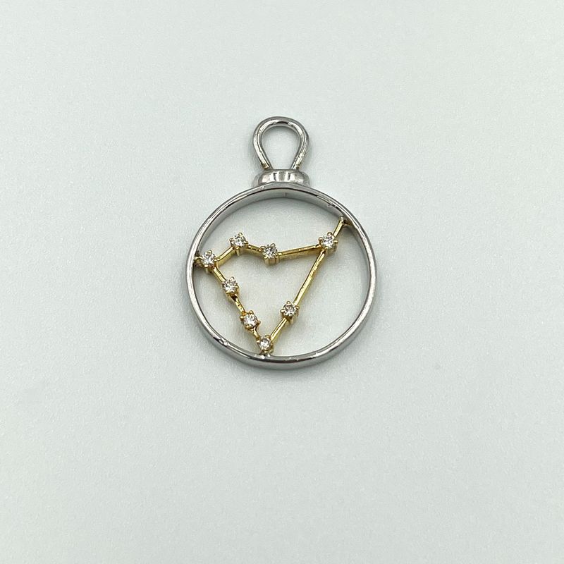 Capricorn Charm