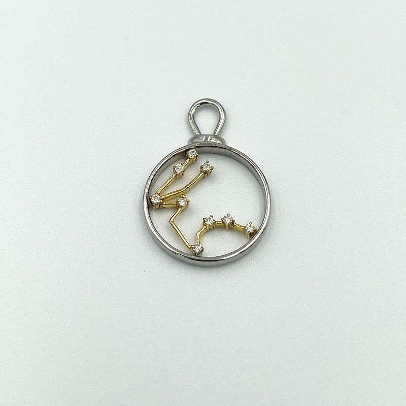 Aquarius  Charm