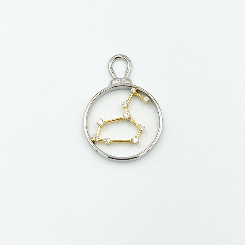 Leo Charm