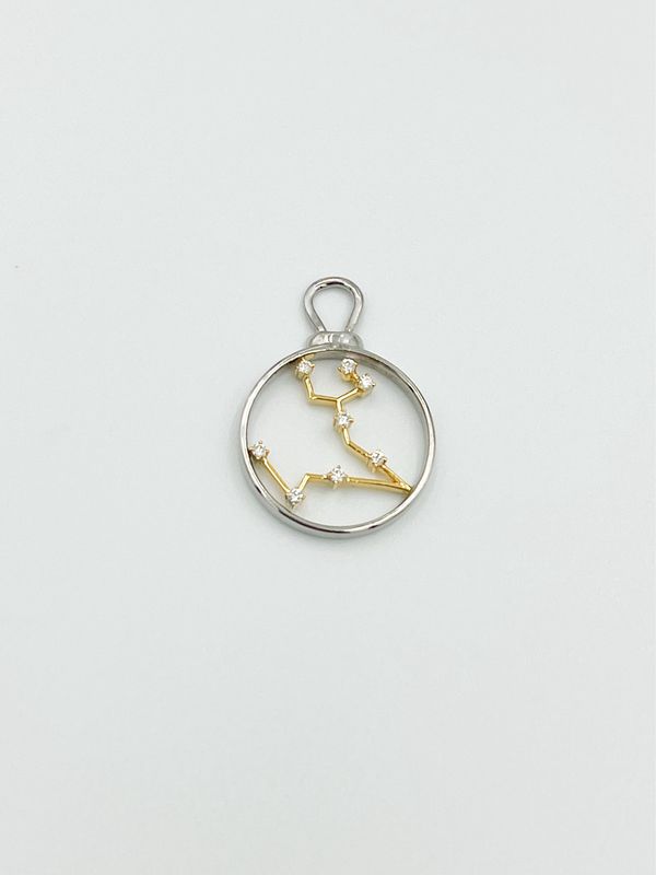 Pisces Charm