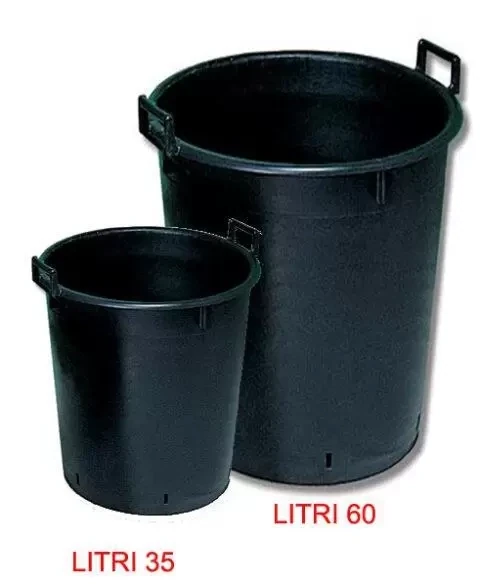 MASTELLO MILLEUSI