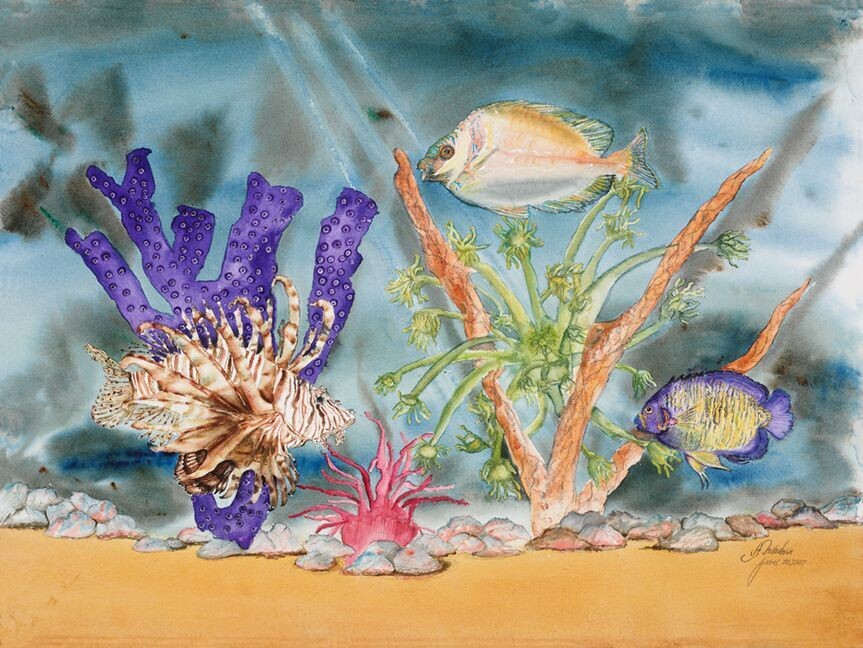 Aquarium
