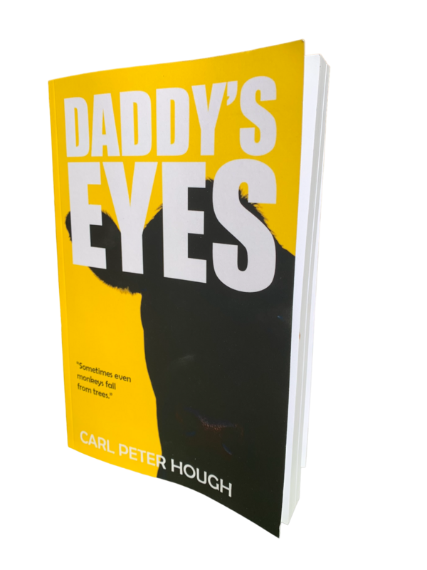 Daddy's Eyes - paperback