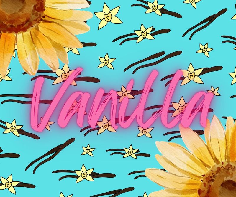 Vanilla