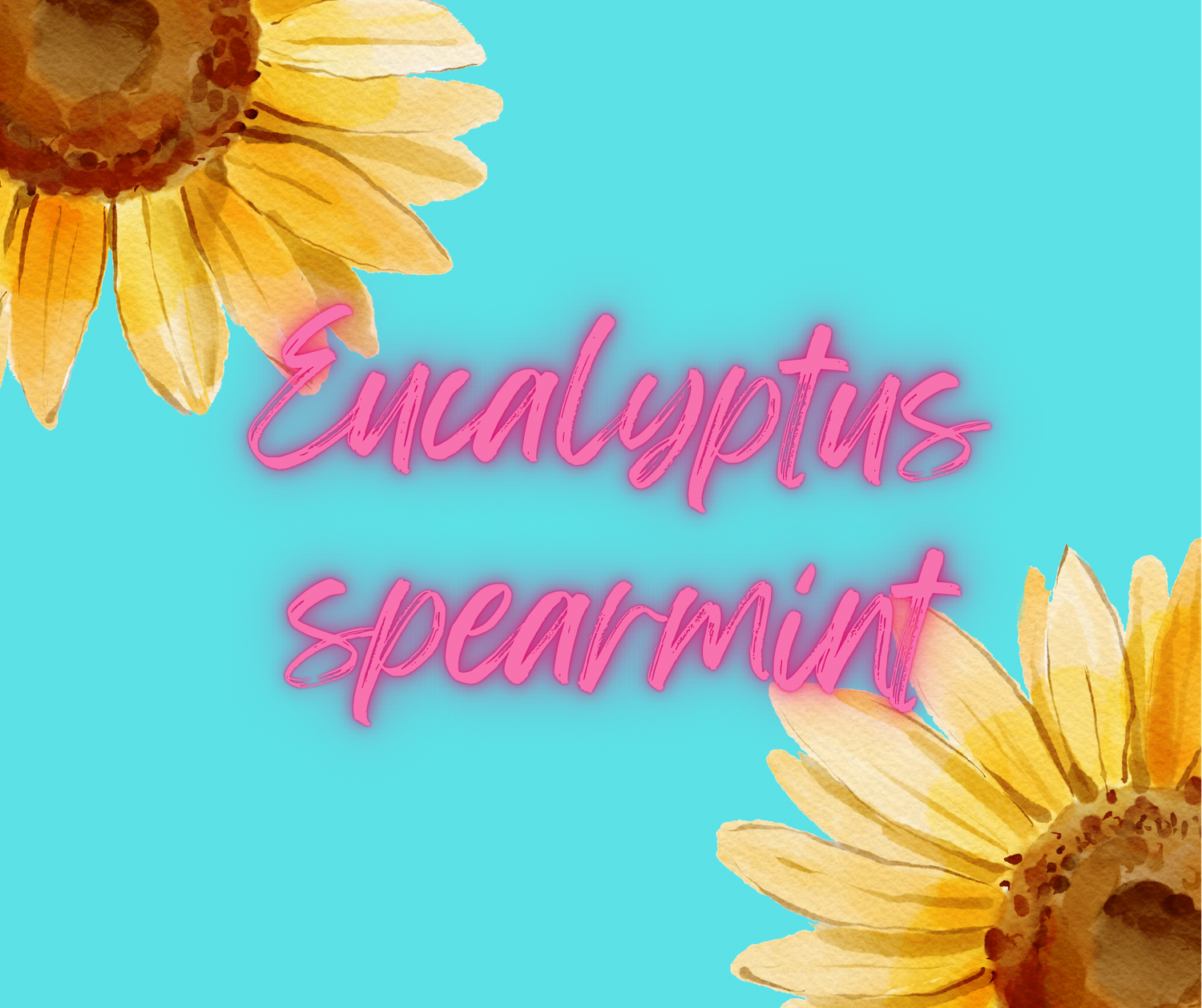 Eucalyptus spearmint