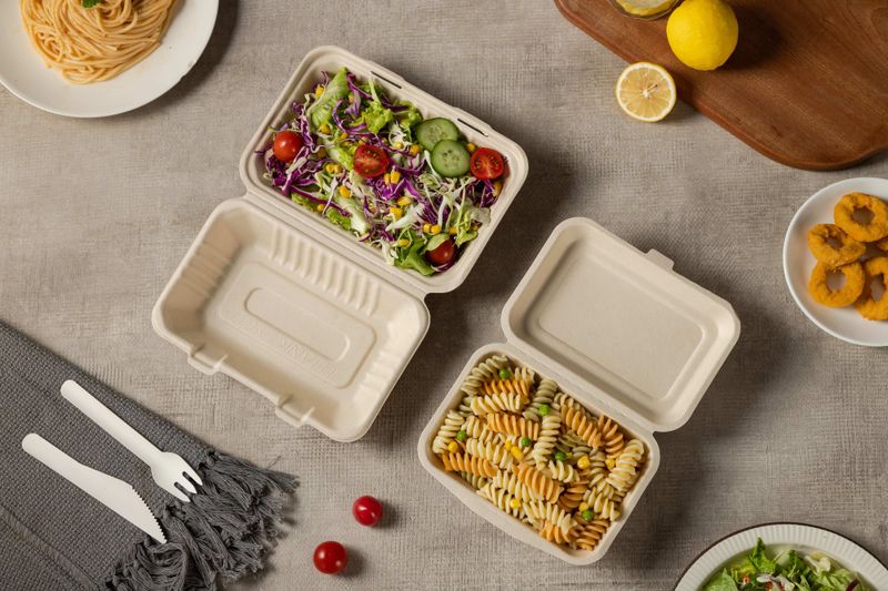 9*6&quot; Bagasse Tray: 250pcs