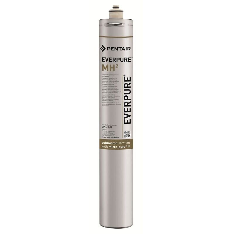 EVERPURE EV9613-21  WATER FILTER CARTRIDGE