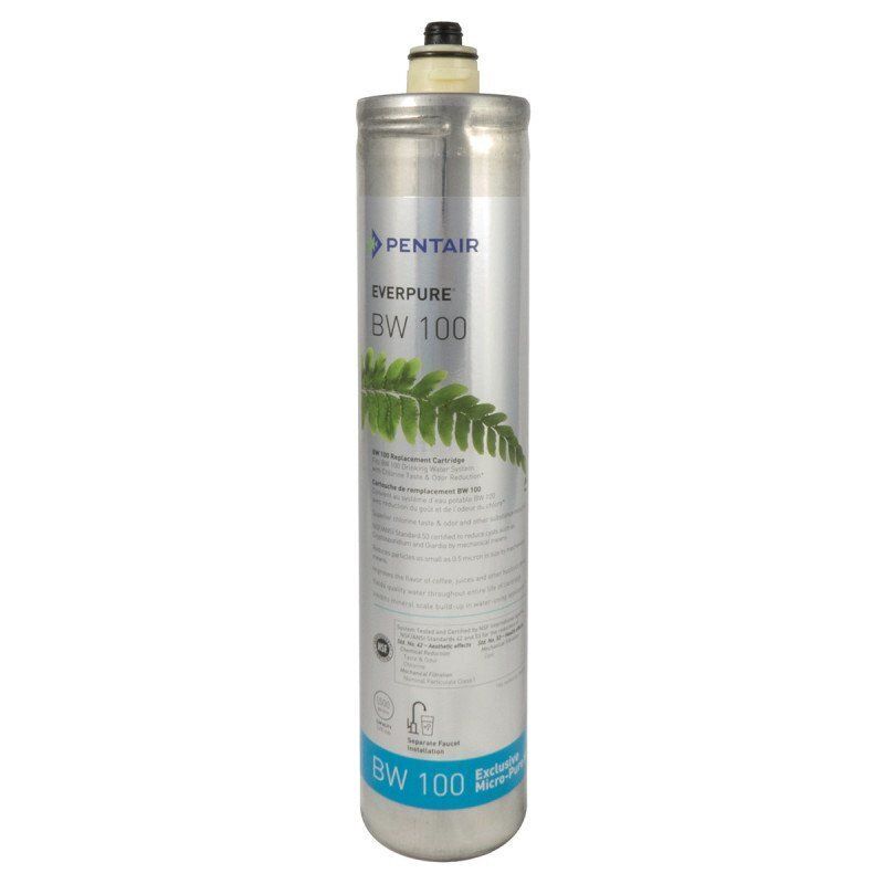 Everpure BW100 Cartridge / DW100F Water Filter Cartridge