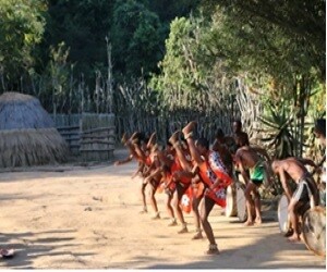eSwatini Big 5